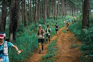 BIB: 
                            <button type="button" onclick="openModal(25658424)" class="btn btn-primary btn-sm float-right btn-popup" data-toggle="modal" data-target=".modal-high-quality">
                        <i class="fas fa-shopping-cart"></i> Add to Cart
                    </button>
                                            <button type="button" onclick="isThisMe(25658424, true)" class="btn btn-success btn-sm float-right btn-popup btn-isme hidden" data-toggle="tooltip" data-placement="bottom" title="นี่คือรูปของคุณใช่ไหม คลิกที่นี่เพื่อเอาเข้าอัลบั้ม">
                        <i class="fas fa-plus"></i> Add to album
                    </button>
                    <button type="button" onclick="isThisMe(25658424, false)" class="btn btn-warning btn-sm float-right btn-popup btn-isnotme hidden">
                        <i class="fas fa-ban"></i> Remove from album
                    </button>